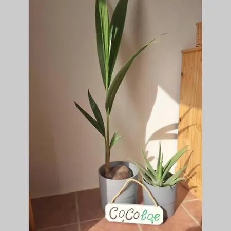 Casa Cocoloe Holiday home *